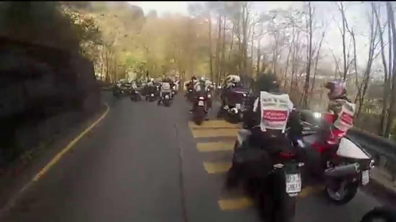 The 