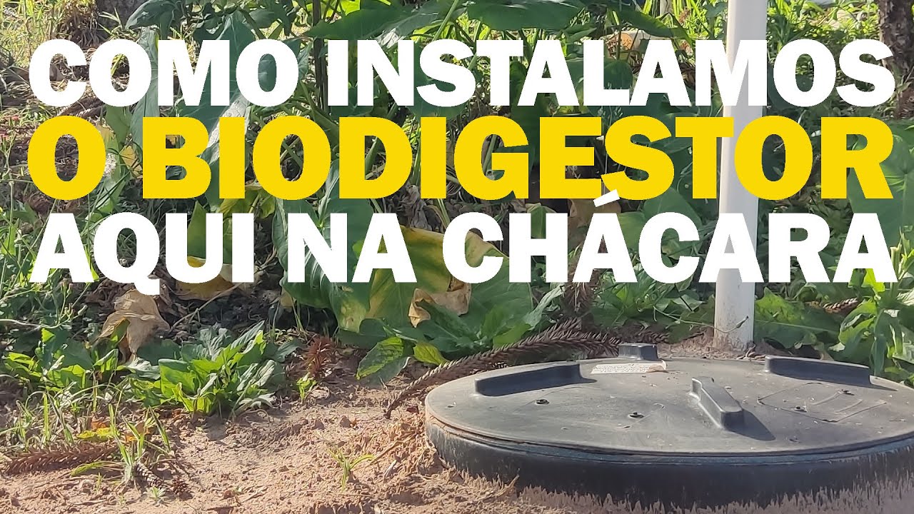 Instalação do biodigestor na nossa chácara #Biodigestor #Instalando #chácara