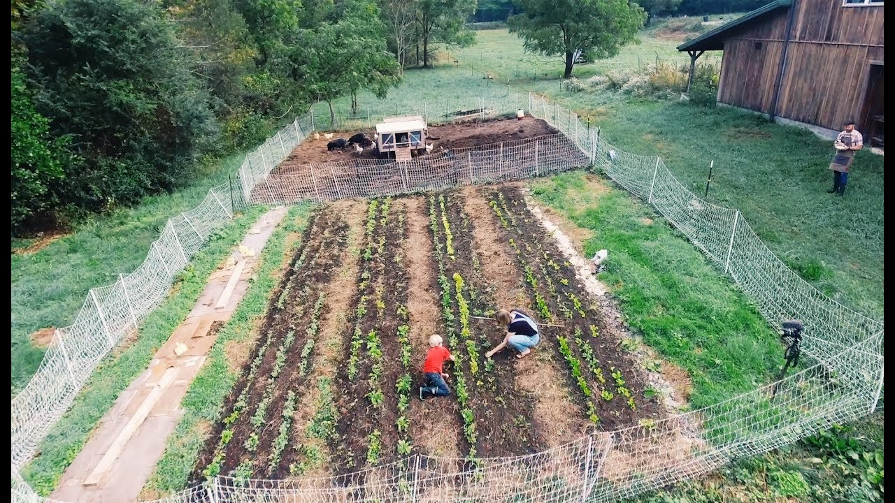 How We Built a 10 Acre Homestead in a Year (from scratch)