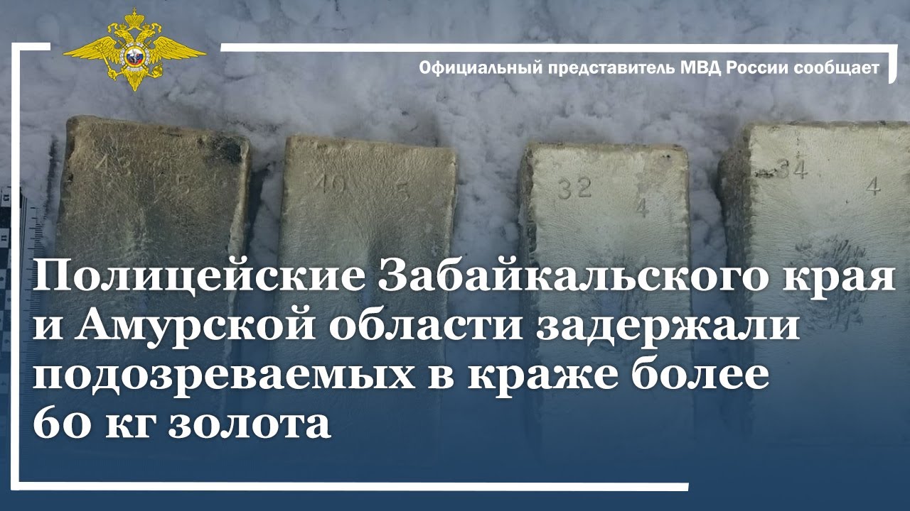 Ирина Волк: Полицейские Забайкалья и Амурской области задержали подозреваемых в краже 60 кг золота
