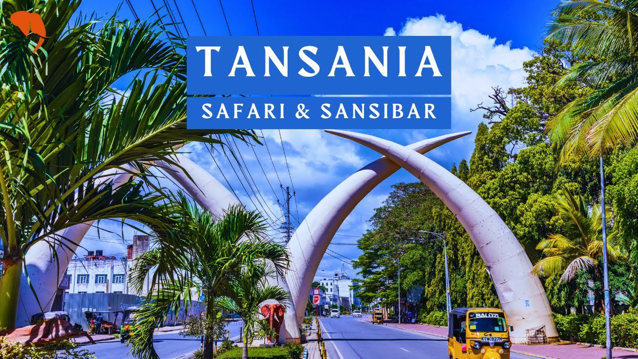 Tansania LIVE:  Safari & Sansibar in 15 Tagen – Luxus, der unter die Haut geht! #urlaub #wildlife