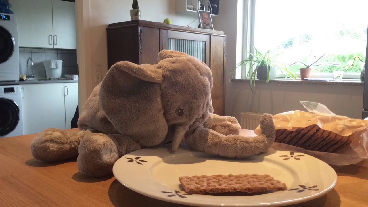 Fantus laver morgenmad