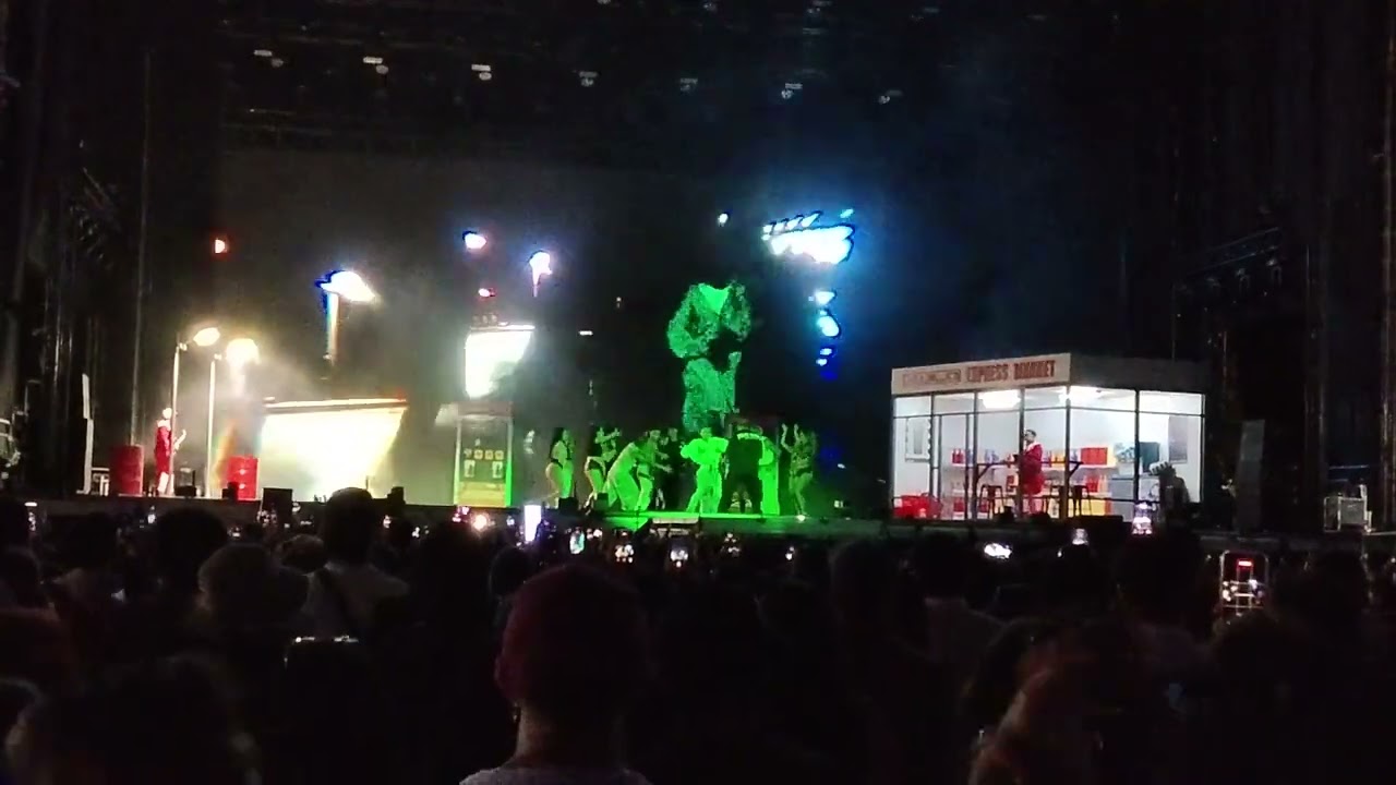 Young Cister 11 #Lollapalooza #lollacl #lollacl2026 #lollapalooza2026 #Youngcister