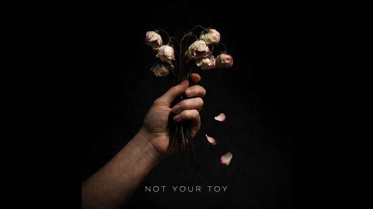 Not Your Toy - (Official Music)