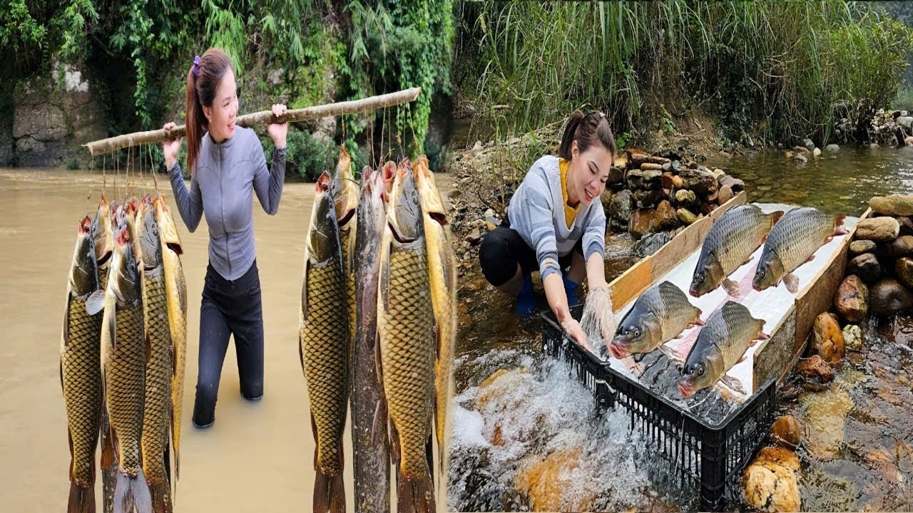 How to fish with bamboo tubes and wooden slides, the girl caught a lot of big fish