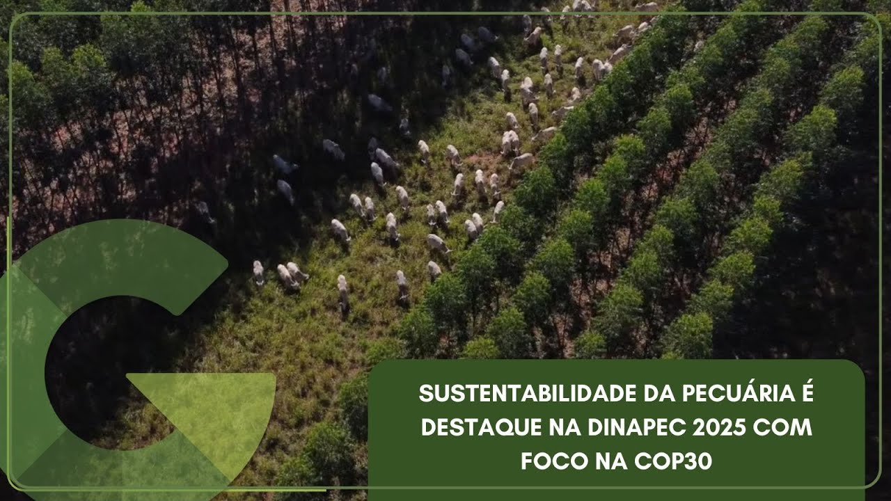 SUSTENTABILIDADE DA PECUÁRIA É DESTAQUE NA DINAPEC 2025 COM FOCO NA COP30