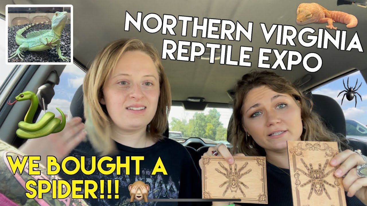 NORTHERN VIRGINIA REPTILE EXPO SHOW | lizards | geckos | snakes | spiders | frogs | turtles