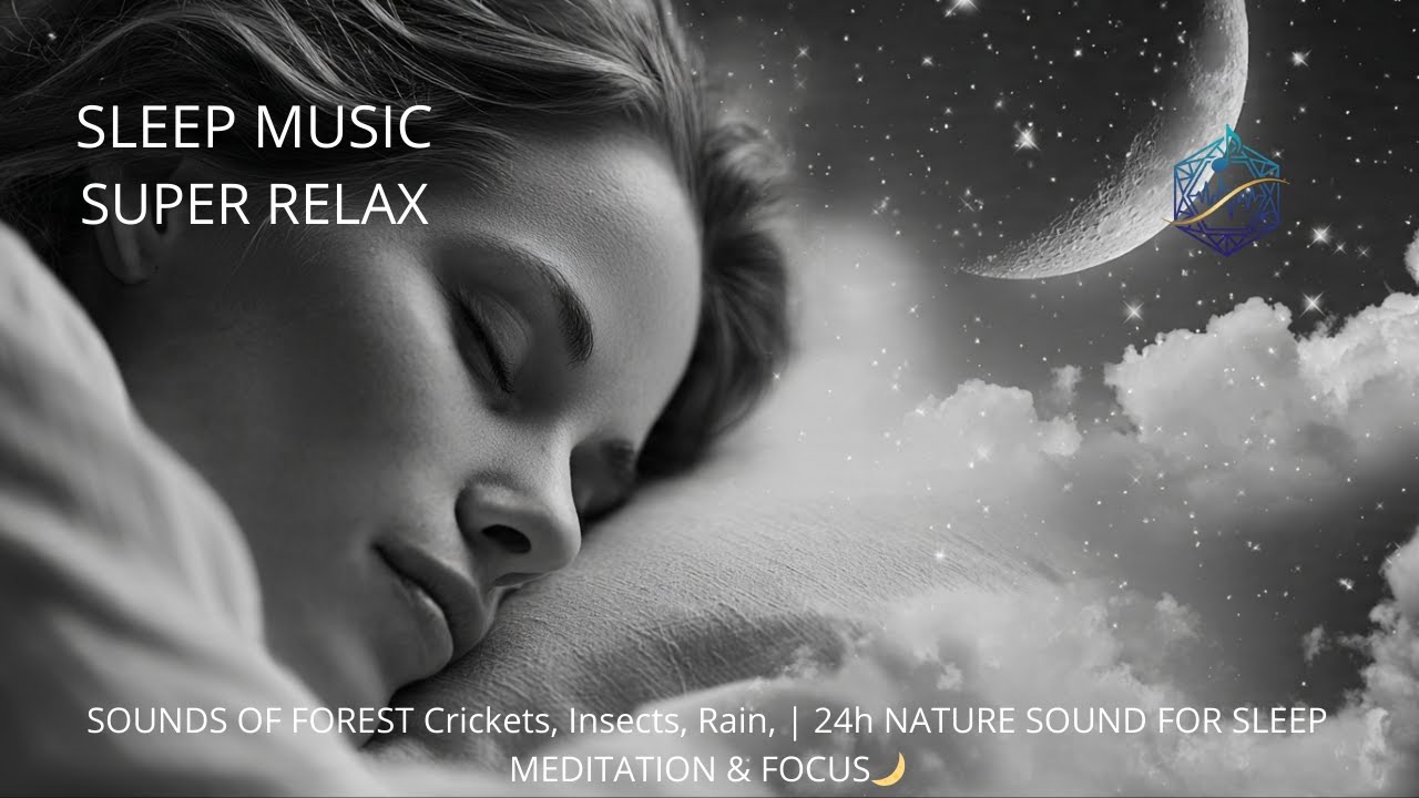 SOUNDS OF FOREST Crickets, Insects, Rain, | 24h NATURE SOUND FOR SLEEP MEDITATION & FOCUS🌙