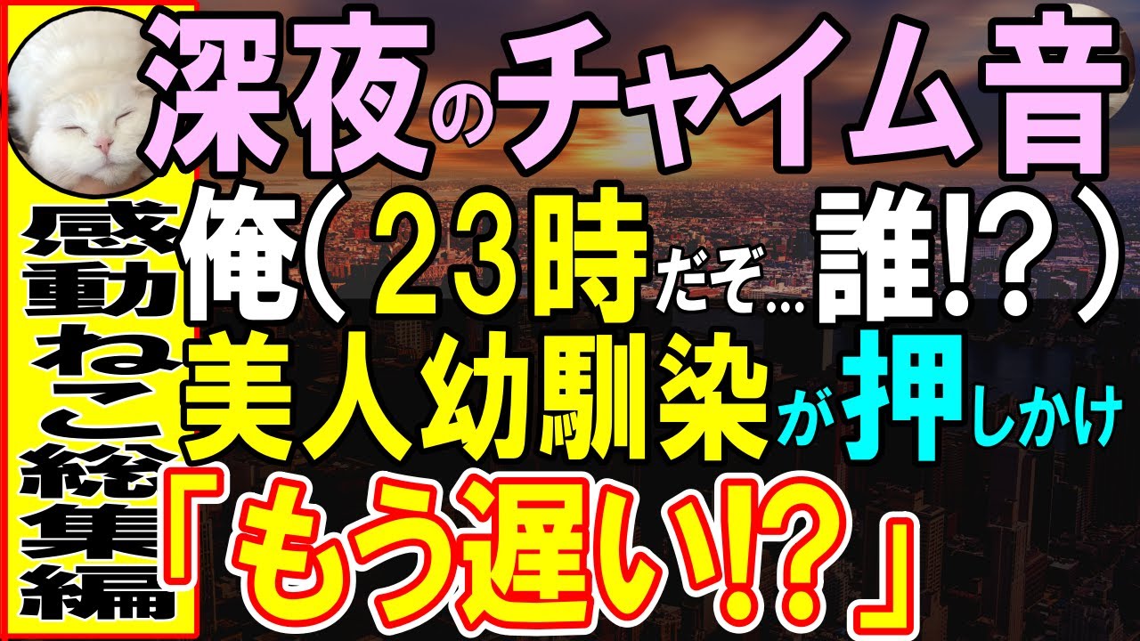 【感動する話】大口契約打切りで泣き崩れる美人社長→退職した元共同経営者の俺の思惑を知り、深夜に突然家にあがりこんできて…「もう遅い？」【いい話・泣ける話・朗読】