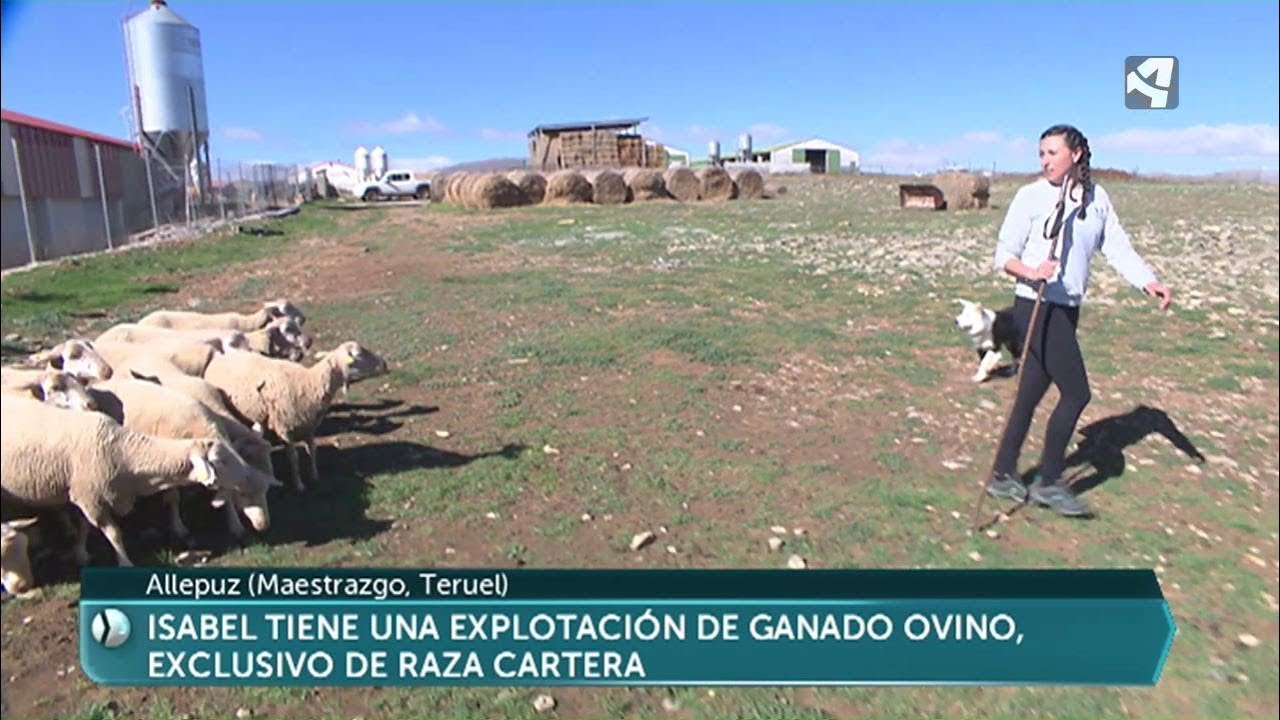 Mujer, joven y ganadera en Allepuz