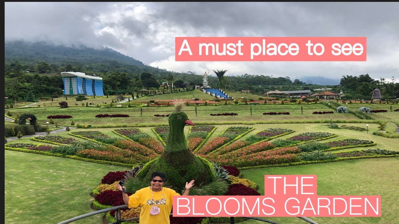 THE BLOOMS GARDEN BEDUGUL BALI | Cantiknya The Blooms Garden Bali #bali #wisatabali #