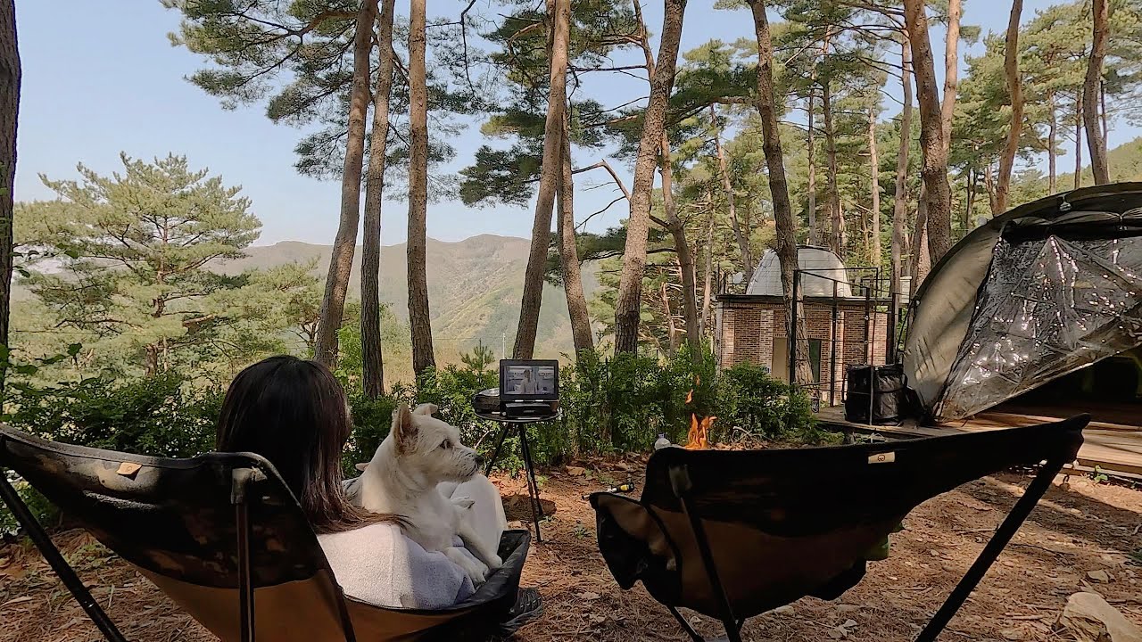 [4K] 해발 700m🫨⛰️ 뻥~뚫린 마운틴 뷰 캠핑장에서 강아지와 2박3일☁️ / 영월구름품은캠핑장 / 반려동반캠핑