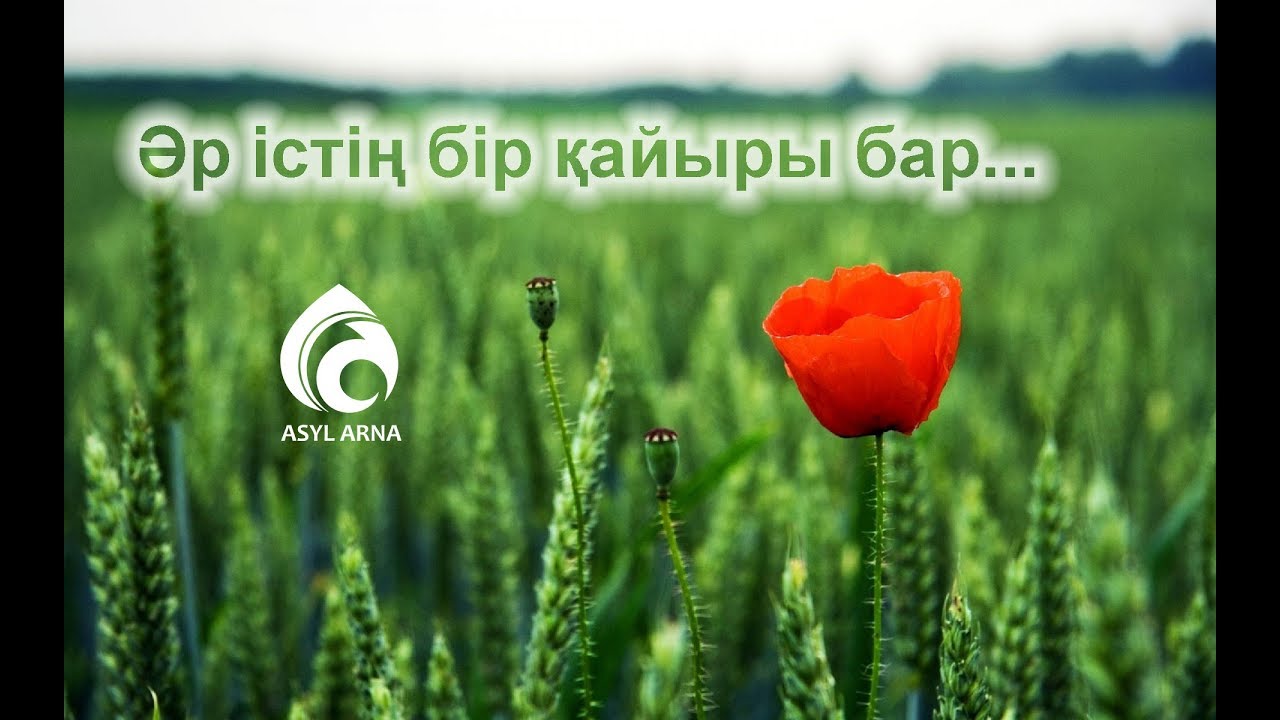 Әр істің бір қайыры бар / Жұма уағызы