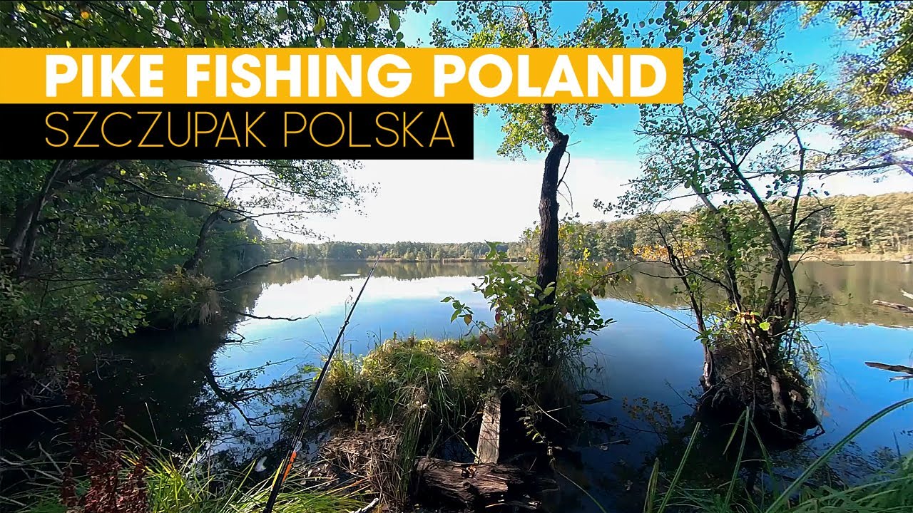 Pike Fishing Poland | Insta 360 One X2 Footage.