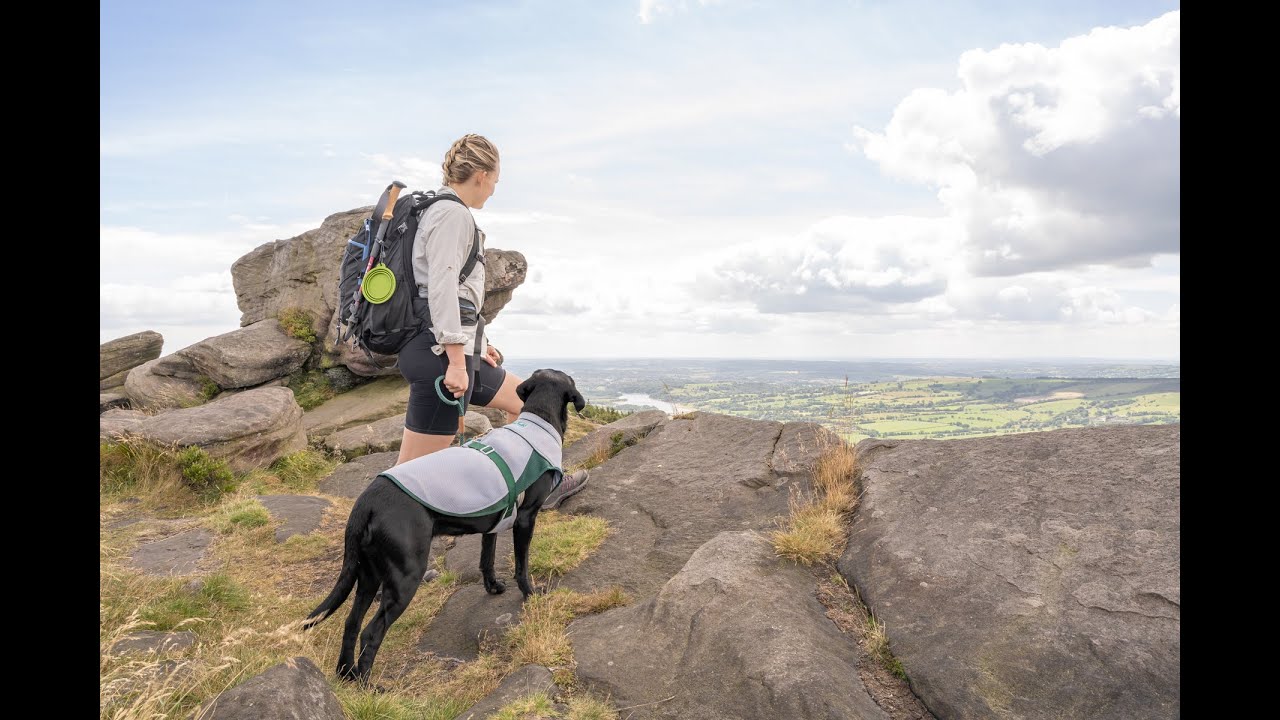 Keeping Dogs Cool on Hot Days - The Ruff and Tumble Dog Cooling Coat