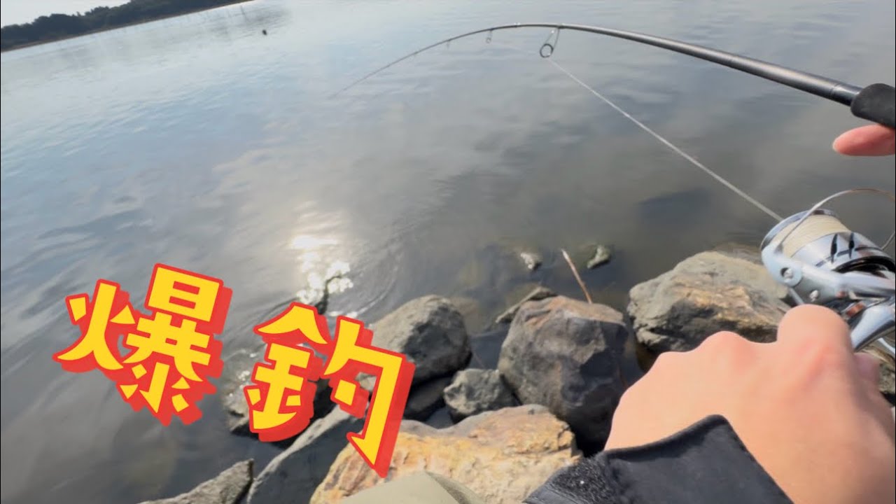お久シーバス！#シーバス #涸沼 