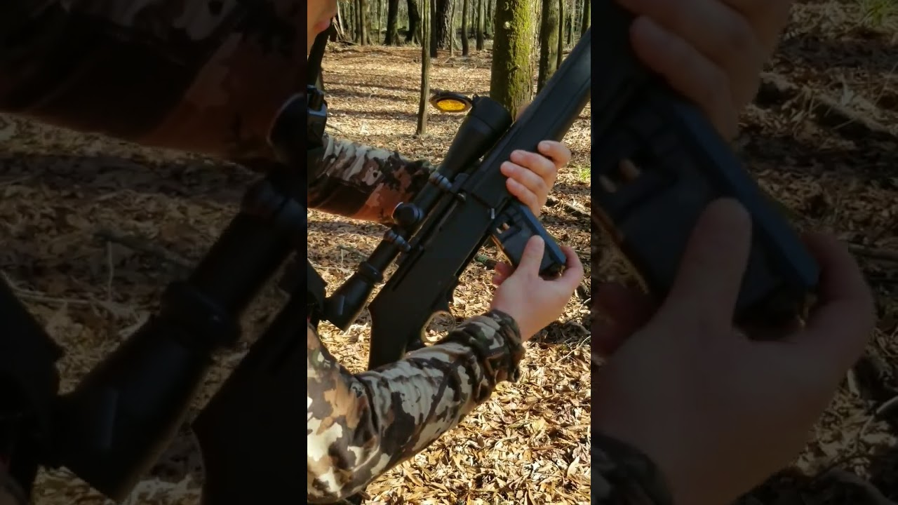 Browning BAR