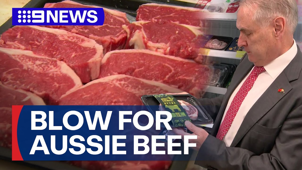 Blow for Aussie beef farmers as China announces tariff | 9 News Australia