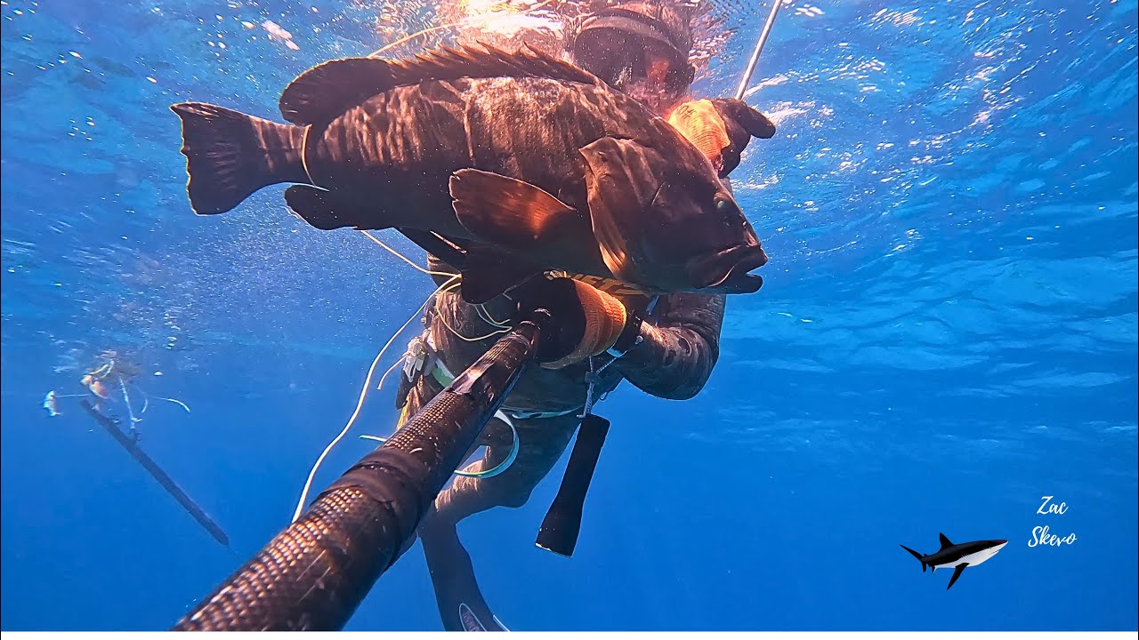 5.7 kg dusky grouper and 1.5 kg  lionfish the largest ever...Ροφός 5,7   & ρεκόρ λεοντόψαρo. 1,5 κ