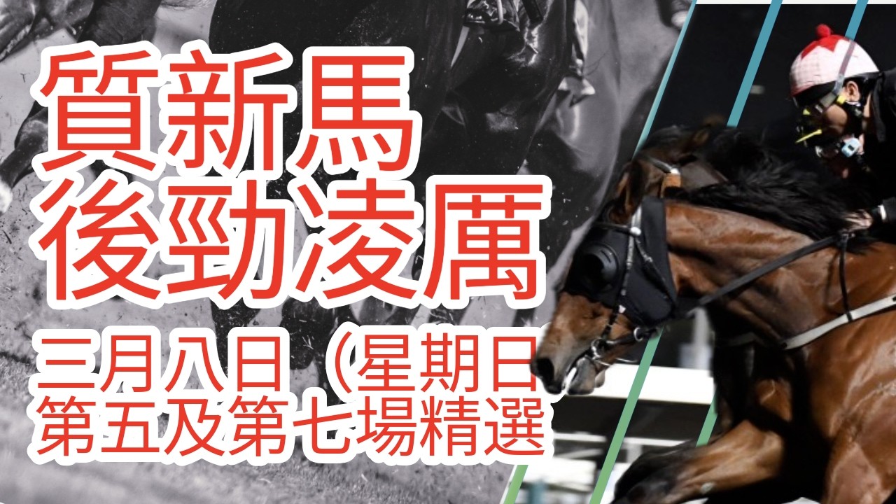 【馬迷誌】質新馬後勁凌厲｜3月8日 星期日 沙田日賽｜第五場及第七場｜【Horse Diary 】｜8th Mar Race 5 & 7