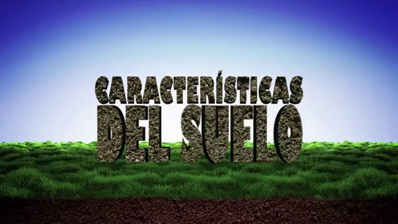 Características del Suelo - Sección 4
