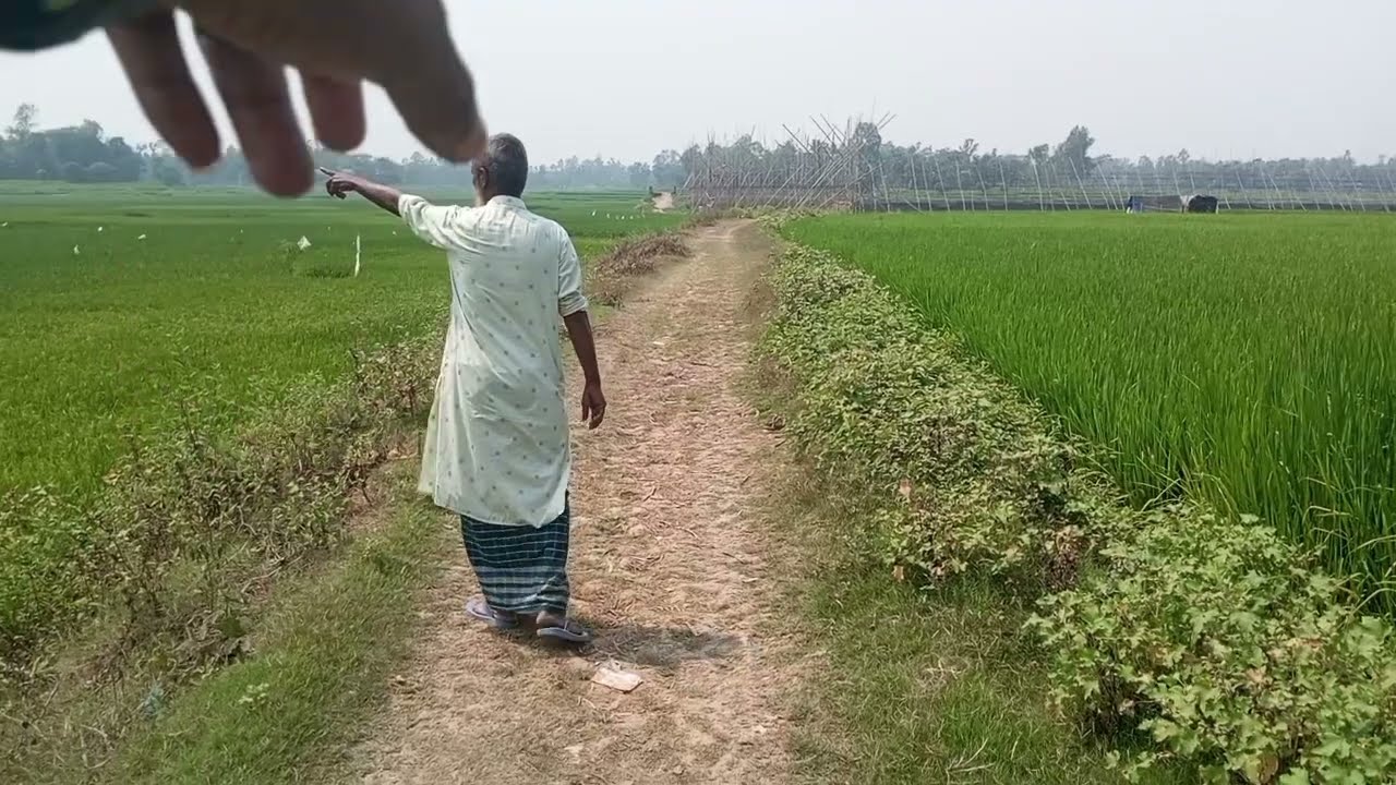 ঢাকা জেলার সাভার উপজেলার মধ্যে মাত্র ০১ লাখ টাকা  শতাংশ জমি বিক্রি হবে।। Ashulia ।। Arisha shrabon।।