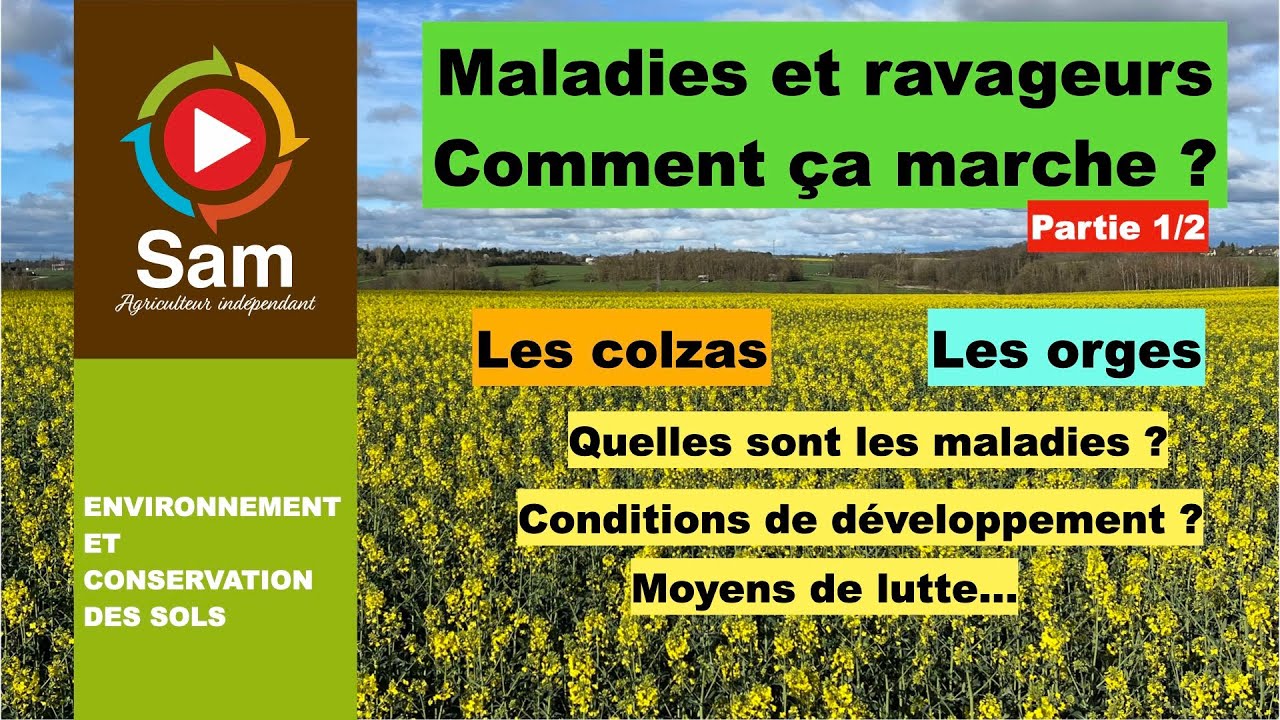Maladies et ravageurs des colzas et des orges. Observations, cycles et fonctionnements. Partie 1/2