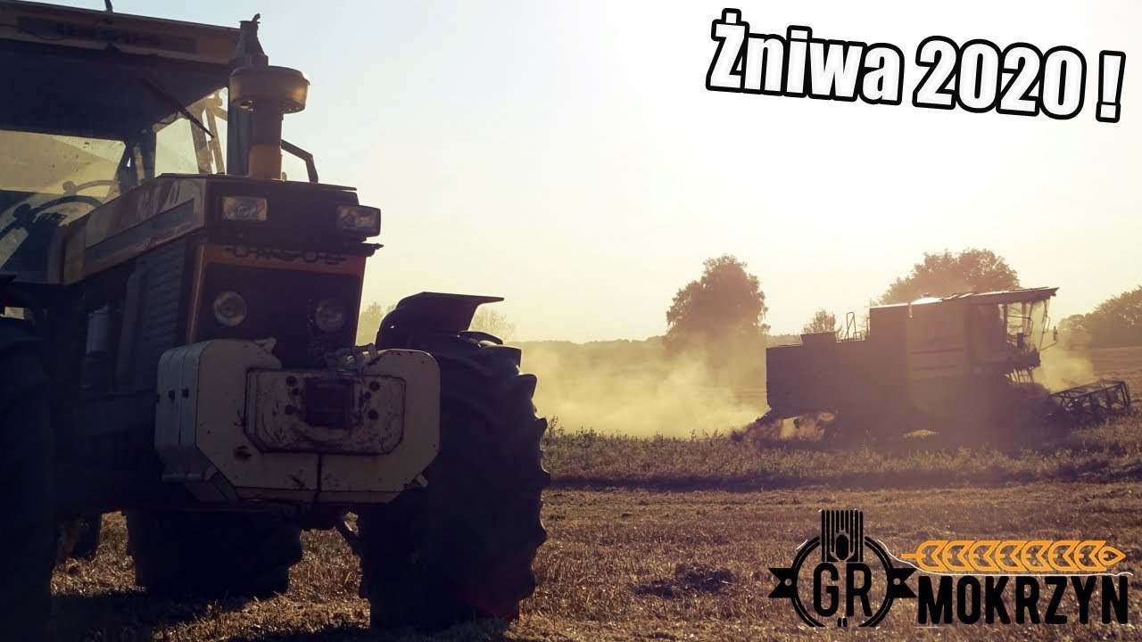 Żniwa 2020 w GR Mokrzyn ! 😍💪 Bronczek, Rolniczy_TeamTV, Przemo Przemo