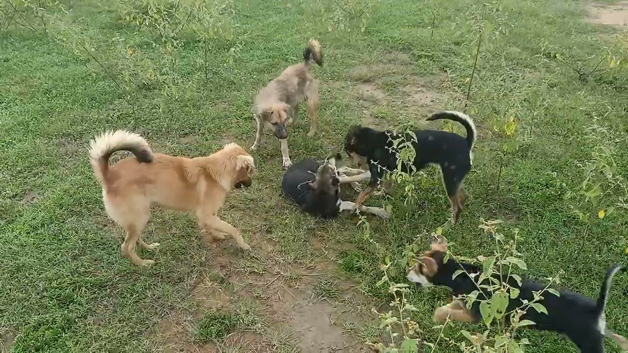 KÝ ỨC TUỔI THƠ! 