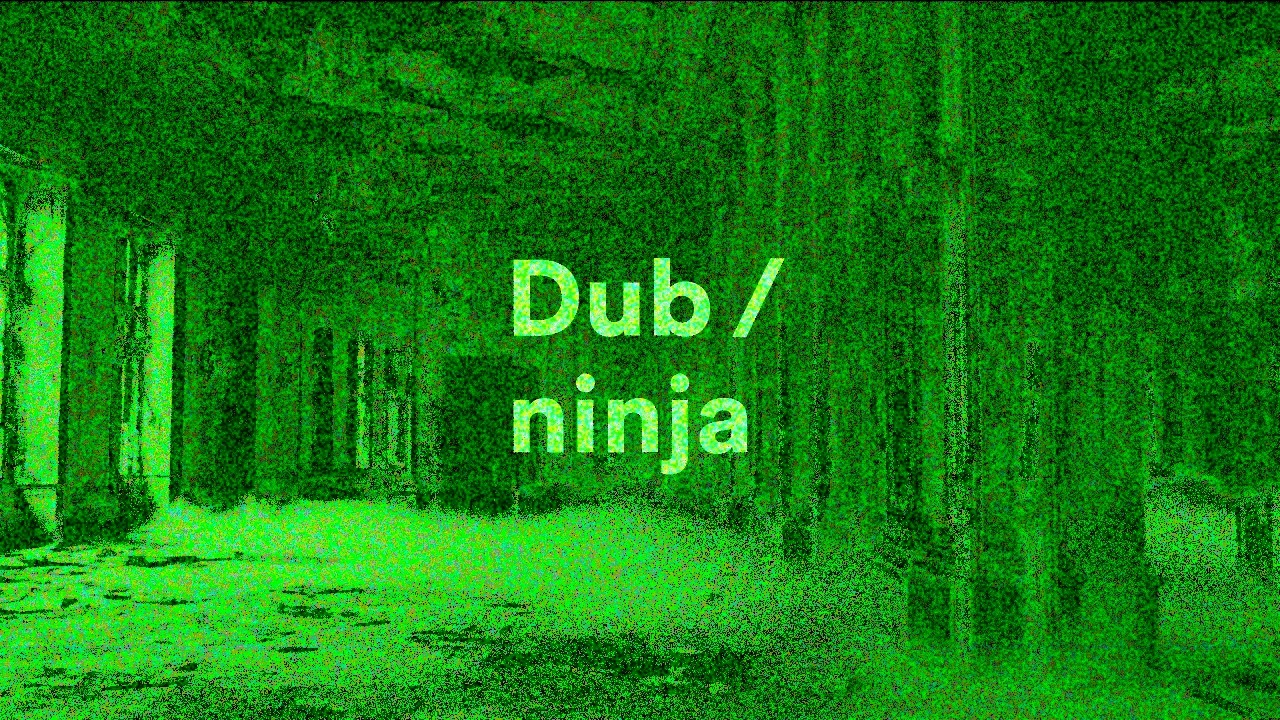 Dub Ninja: Palace of Static Mirrors | Hypnotic Outsider Dub Techno Mix