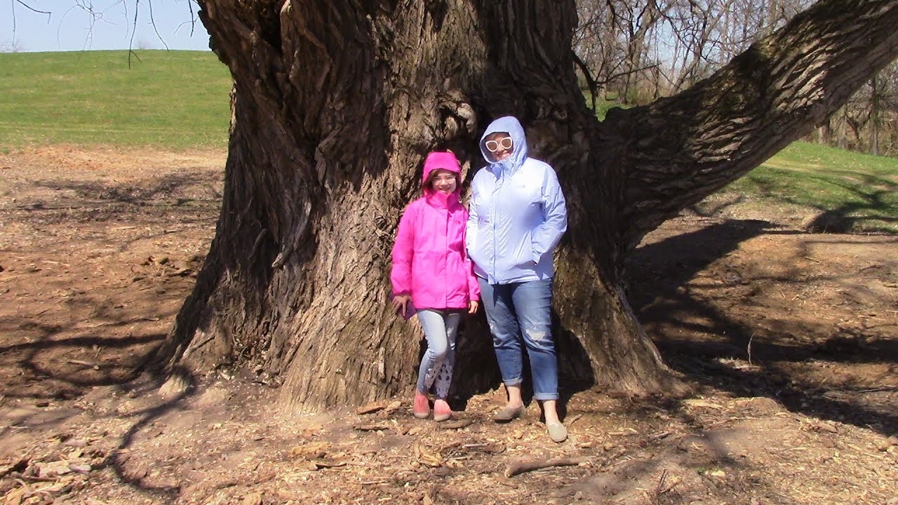 The NEW Biggest Tree in Illinois 2018