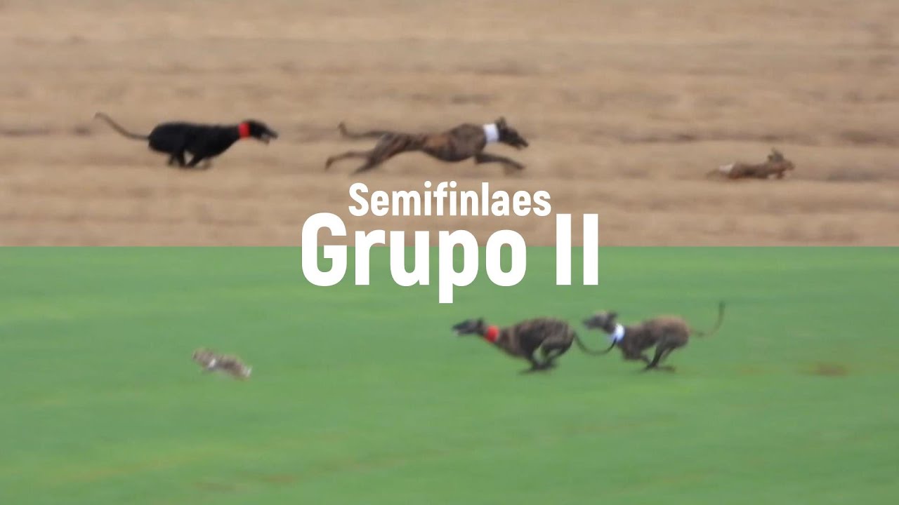 Fase de semifinal del Grupo 2, Las Tramadas, Diciembre 2025
