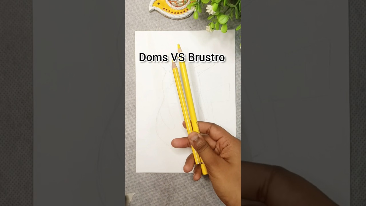 Doms VS Brustro colour pencils ☺️ comment your like #shorts #art #viral #painting