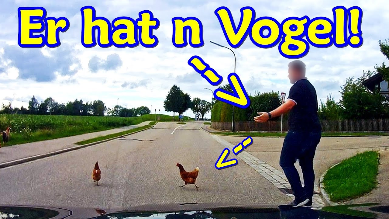 Festnahme auf Autobahn, Smart als R&auml;umfahrzeug und Ampel-Ignoranz | DDG Dashcam Germany | #331