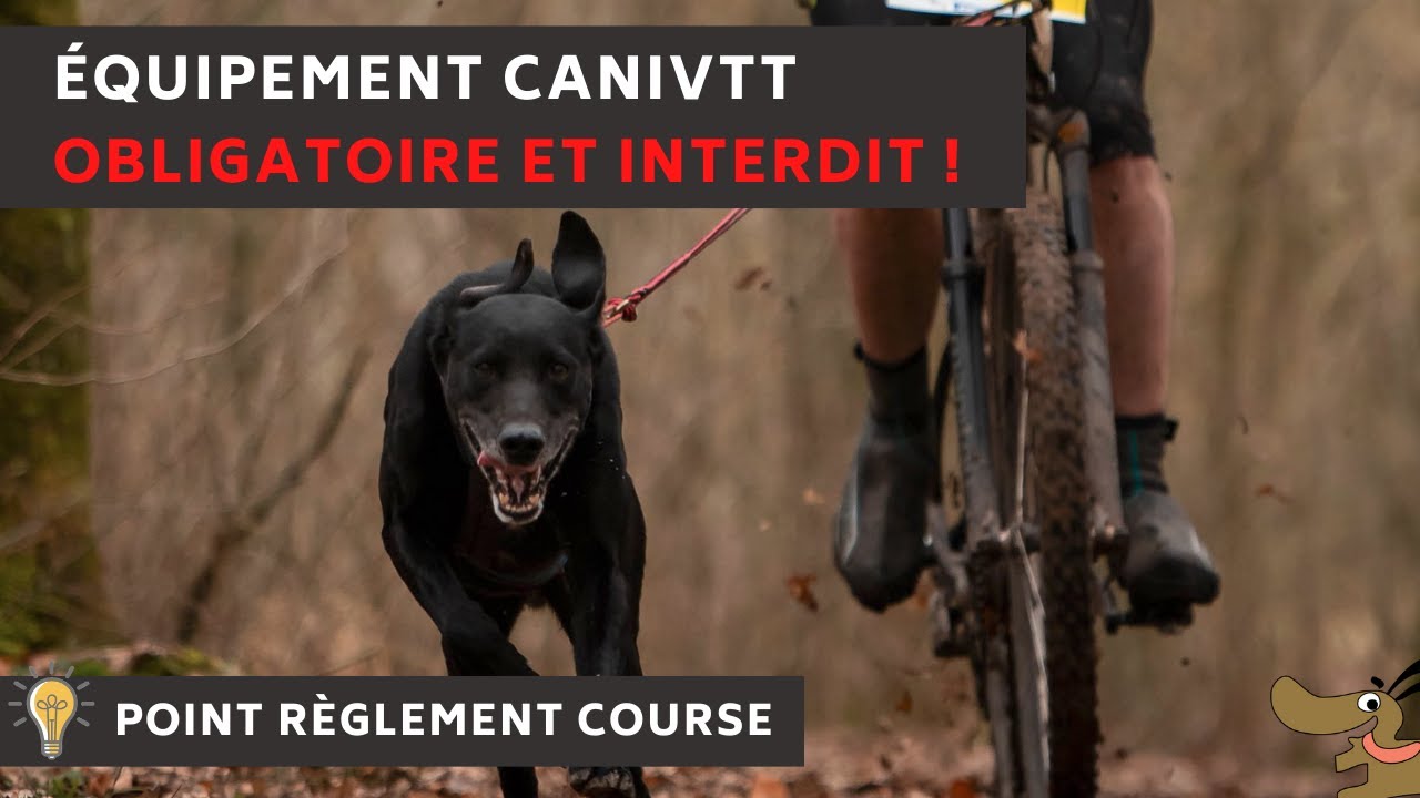 L’équipement obligatoire en CaniVTT #PRC