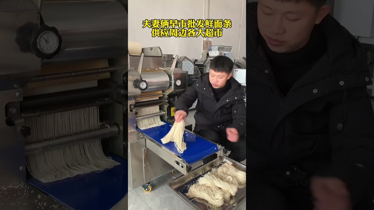 #鲜面条机#挂面机#压面机  夫妻俩批发鲜面条 供应各大超市