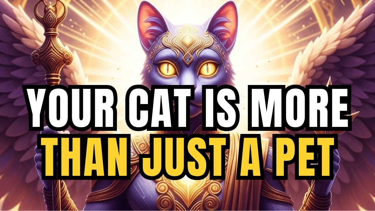 Chosen One: 7 Signs Your Cat Is More Than Just a Pet — It’s a Spiritual Guide