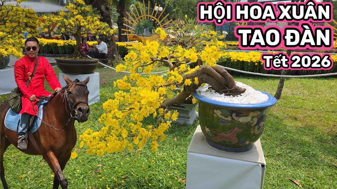 CƯỠI NGỰA HỘI HOA XUÂN TAO ĐÀN CỰC KỲ THÚ VỊ - NHIỀU LOẠI HOA KIỂNG QUÁ ĐẶC SẮC || Nick Nguyen