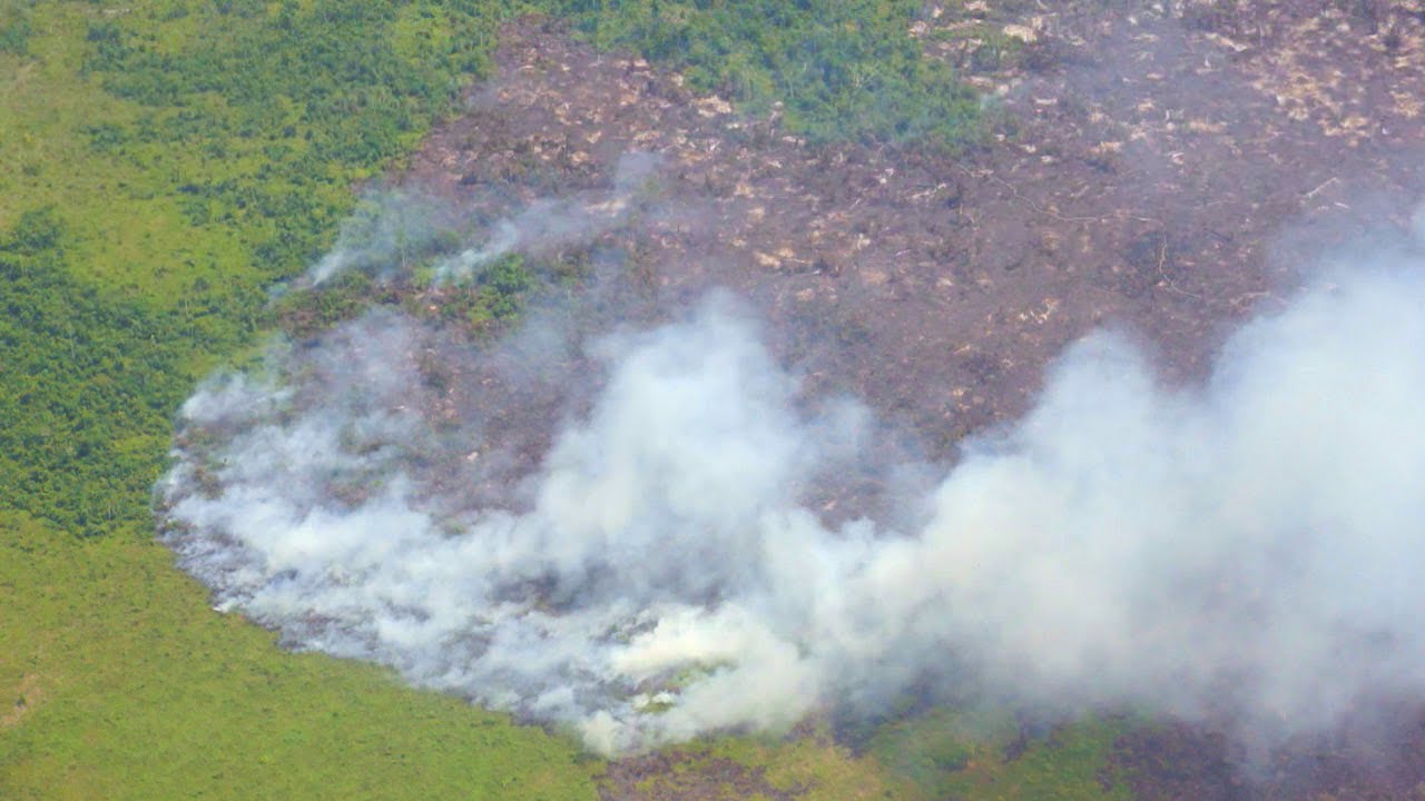 Incendios forestales en Pando. La línea invisible entre producir y destruir