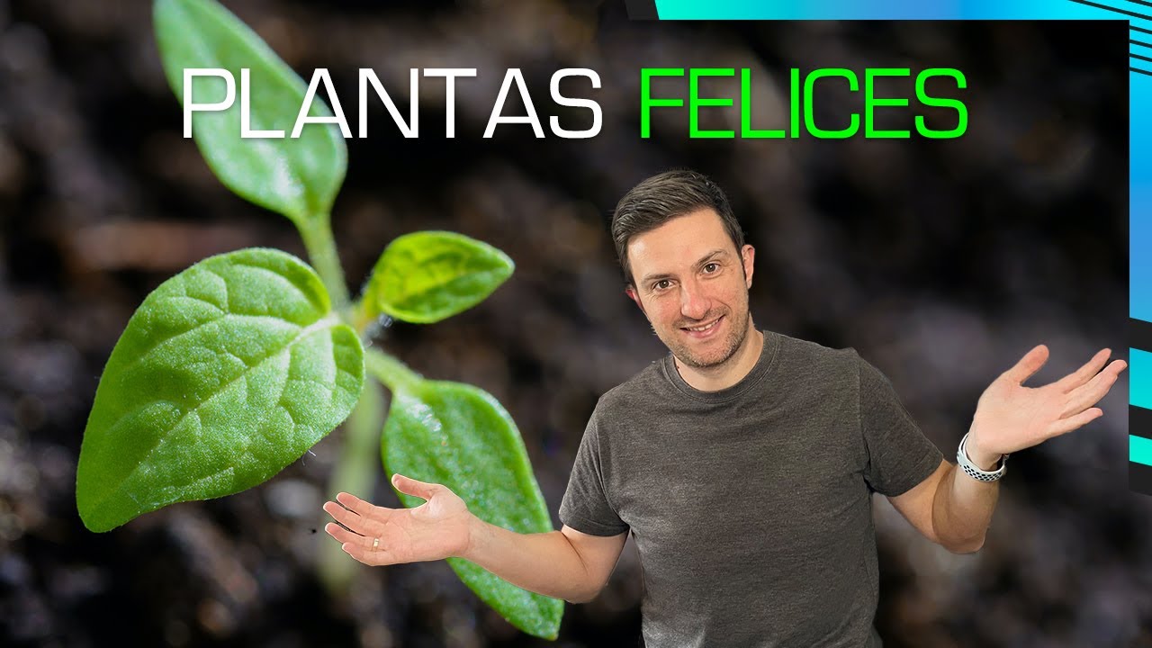 🌱VETE de VACACIONES tranquilo: Riego por goteo AUTOMATIZADO | Gardena Micro-Drip System