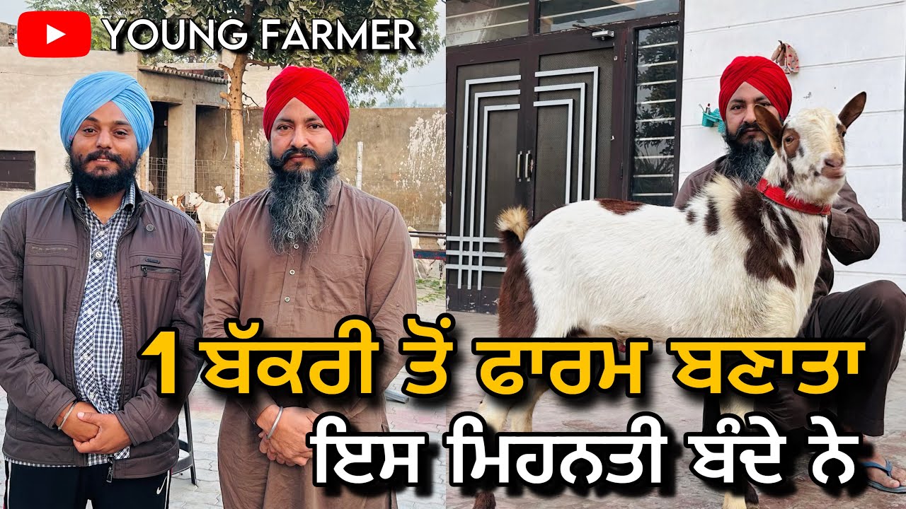 1 ਬੱਕਰੀ ਤੋਂ ਬਰਬਰੀ ਫਾਰਮ ਤੱਕ | 1 Goat → Farm 😲Real Success Story