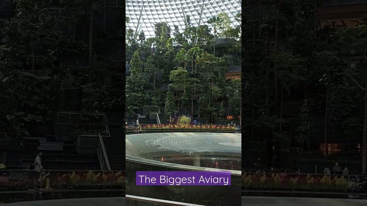 The Biggest Aviary..