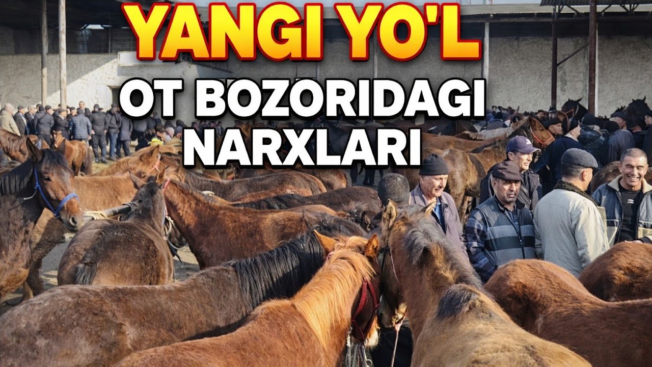 Yangi yo'l ot bozoridagi bugungi narxlar 07.03.2026