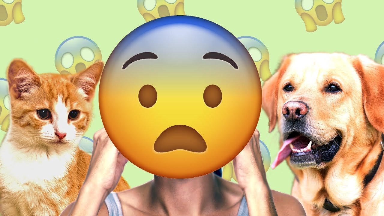Sé lo que hiciste | Historias de Texto