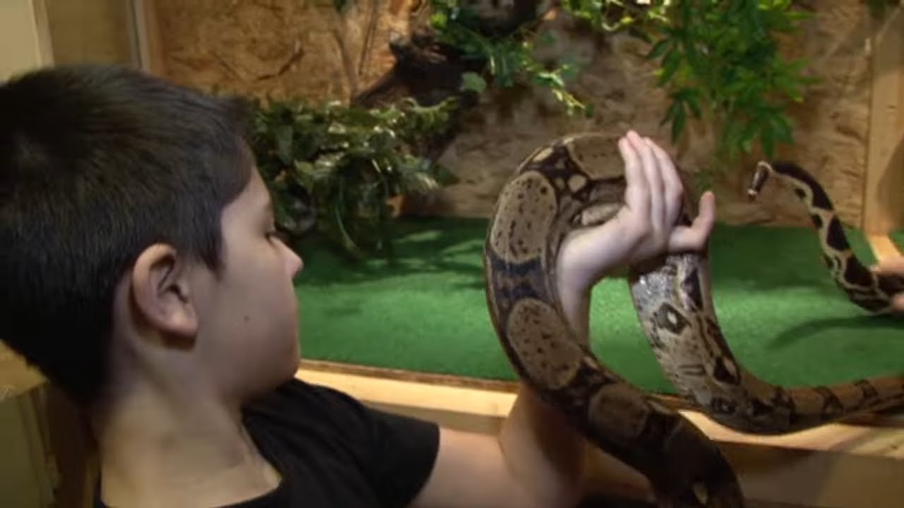 Je vis entouré de serpents et de reptiles