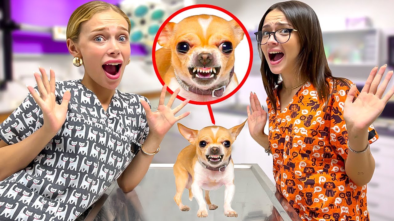 24 SAAT VETERİNER OLDUK! 