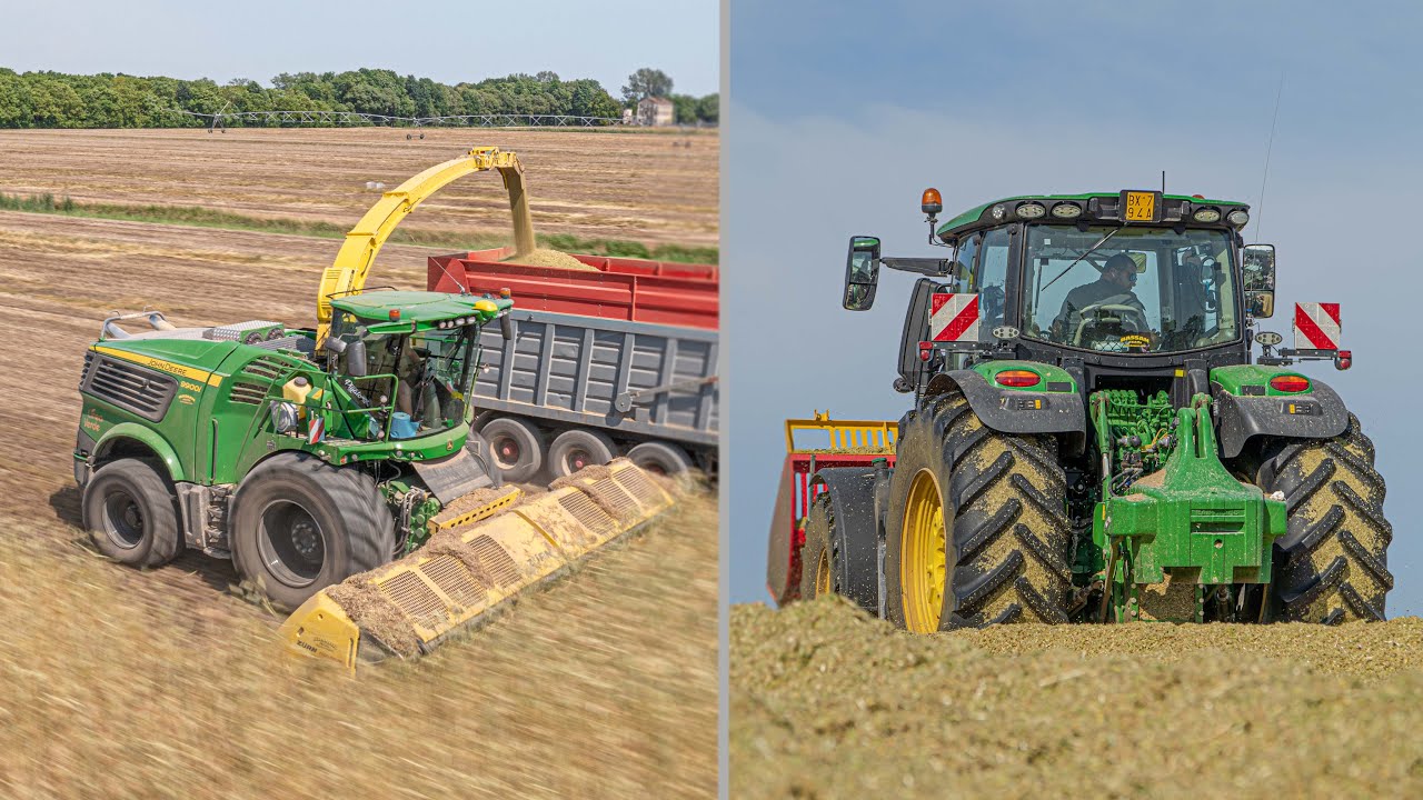 Triticale by LineaVerde🌾 |  *NEW* John Deere 9900i + Zurn Proficut | 2 x John Deere 6R + Mainardi