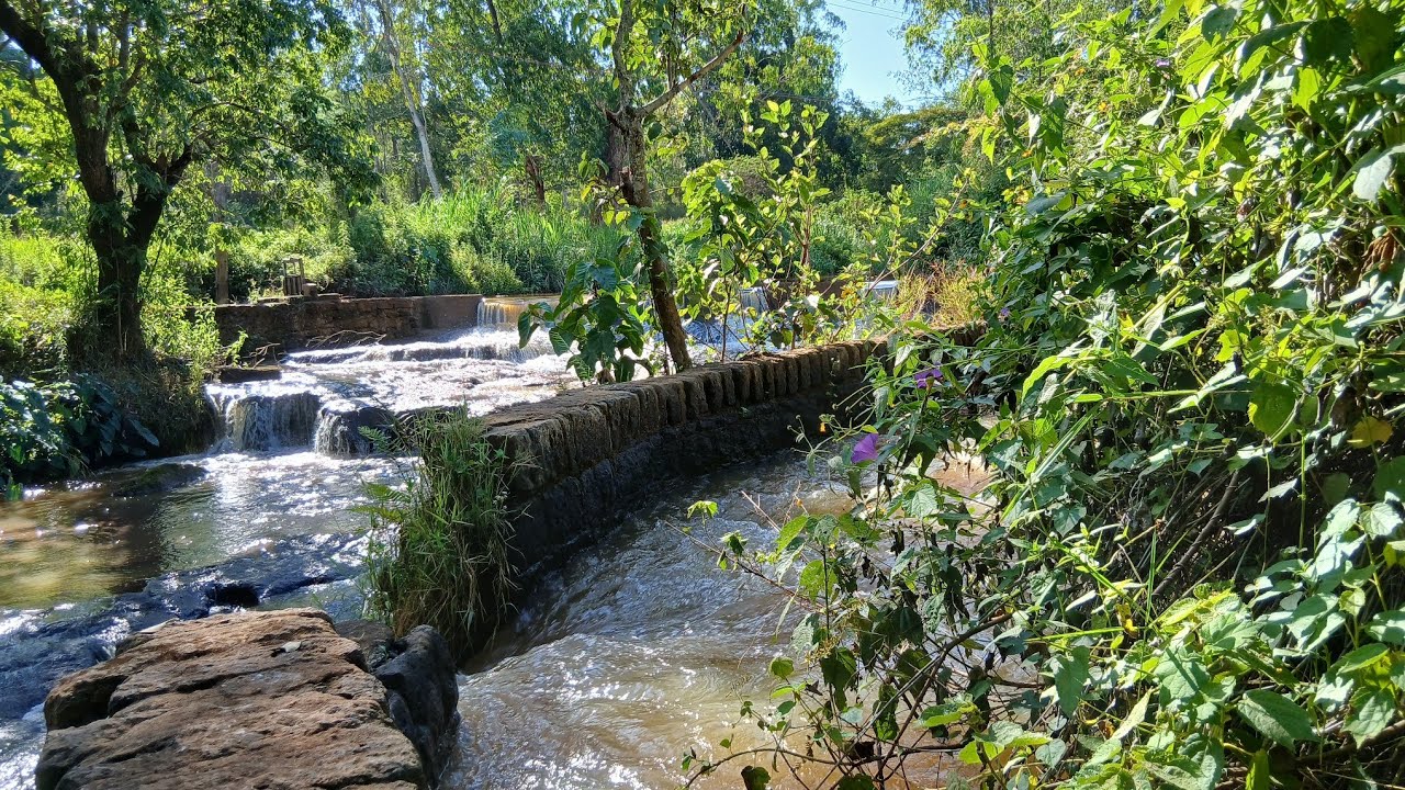 Exploring the Hidden Paradise of Tavon waterfall in kenya