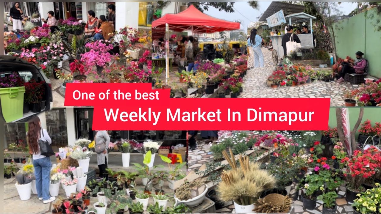 Shopping At Dimapur Market 🌺🪴|| Naga&rsquo;s Flower Market Dimapur || Super Market Dimapur Nagaland