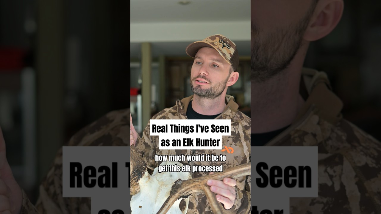 Real things I've seen as an elk hunter
